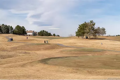 9838 Cypress Point Circle, Lone Tree, CO 80124 - Photo 48