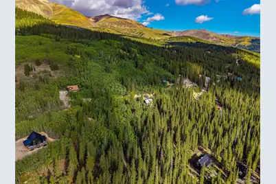 1238 Quartzville, Alma, CO 80420 - Photo 40