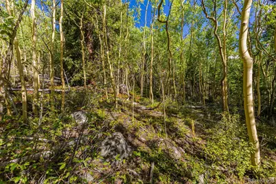 1238 Quartzville, Alma, CO 80420 - Photo 24