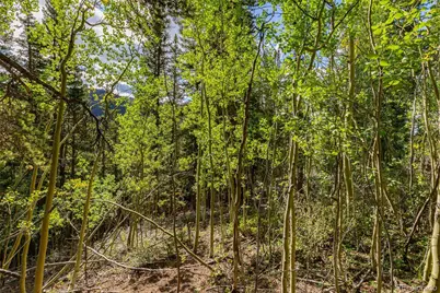 1238 Quartzville, Alma, CO 80420 - Photo 26