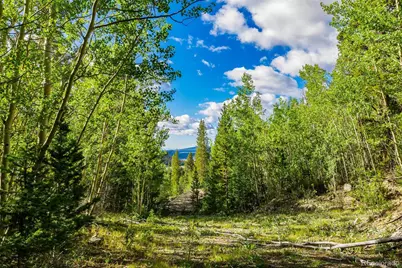 1238 Quartzville, Alma, CO 80420 - Photo 14