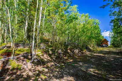1238 Quartzville, Alma, CO 80420 - Photo 12