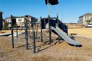 48 Chipeta Way, Lochbuie, CO 80603 - Photo 34