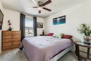 48 Chipeta Way, Lochbuie, CO 80603 - Photo 20