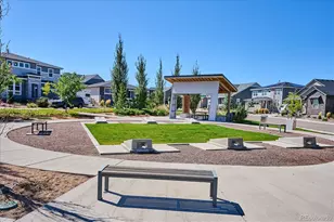 9677 Bennett Peak St, Littleton, CO 80125 - Photo 38