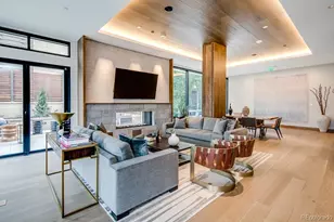 255 Saint Paul Street, Denver, CO 80206 - Photo 10