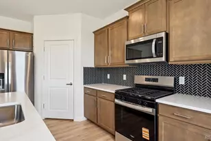 14022 Alpine Phlox Ln, Parker, CO 80134 - Photo 10