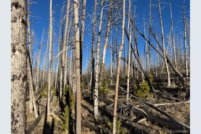 Lot 1502 Vonheyl Lane, Fort Garland, CO 81133 - Photo 10