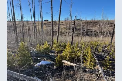 Lot 1502 Vonheyl Lane, Fort Garland, CO 81133 - Photo 4