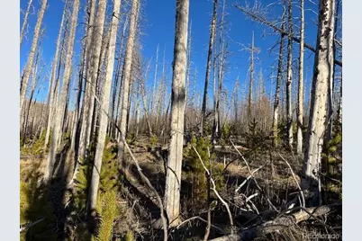 Lot 1502 Vonheyl Lane, Fort Garland, CO 81133 - Photo 12