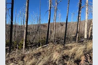 Lot 1502 Vonheyl Lane, Fort Garland, CO 81133 - Photo 6