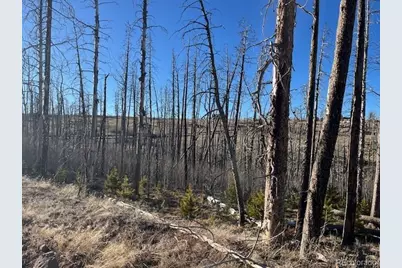 Lot 1502 Vonheyl Lane, Fort Garland, CO 81133 - Photo 2