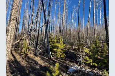 Lot 1502 Vonheyl Lane, Fort Garland, CO 81133 - Photo 14
