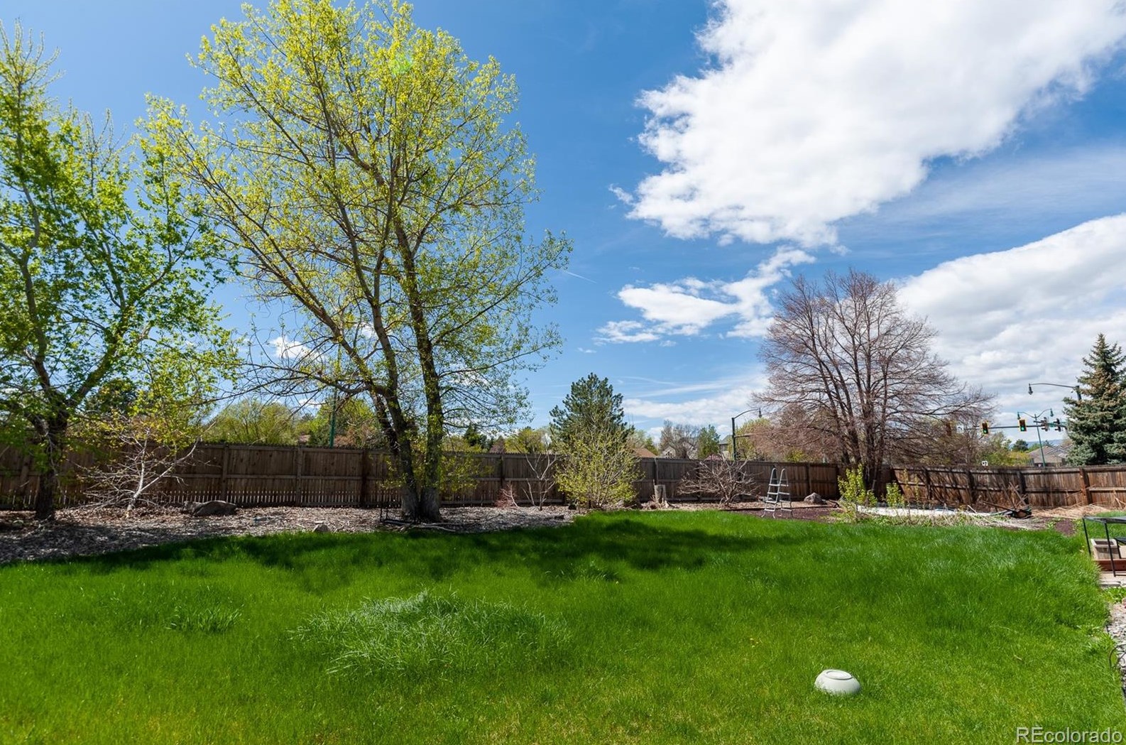 10439 King Cir, Westminster, CO 80031-2207