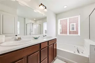 3594 Happyheart Way, Castle Rock, CO 80109 - Photo 22