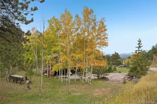 42 Catamount Ridge Rd, Bailey, CO 80421 - Photo 28