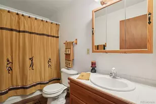 42 Catamount Ridge Rd, Bailey, CO 80421 - Photo 16