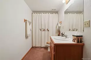 42 Catamount Ridge Rd, Bailey, CO 80421 - Photo 18