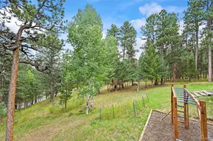 509 Cottonwood Dr, Evergreen, CO 80439 - Photo 38