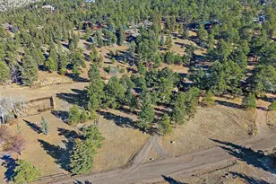 29793 Paint Brush Dr, Evergreen, CO 80439 - Photo 2