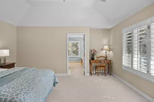 312 Quito Pl, Castle Rock, CO 80108 - Photo 22