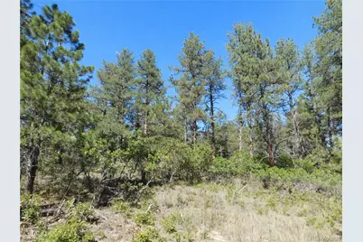 773 Copper Fox Place, Larkspur, CO 80118 - Photo 48
