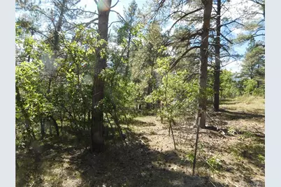 773 Copper Fox Place, Larkspur, CO 80118 - Photo 26