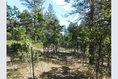 773 Copper Fox Place, Larkspur, CO 80118 - Photo 20