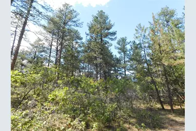 773 Copper Fox Place, Larkspur, CO 80118 - Photo 38