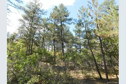 773 Copper Fox Place, Larkspur, CO 80118 - Photo 40