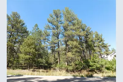 773 Copper Fox Place, Larkspur, CO 80118 - Photo 8