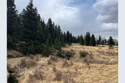 Lot 3091 Sterenson Place, Fort Garland, CO 81133 - Photo 26