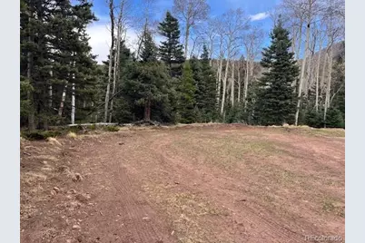 Lot 3091 Sterenson Place, Fort Garland, CO 81133 - Photo 12