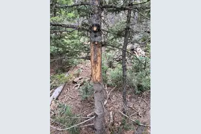 Lot 3091 Sterenson Place, Fort Garland, CO 81133 - Photo 36