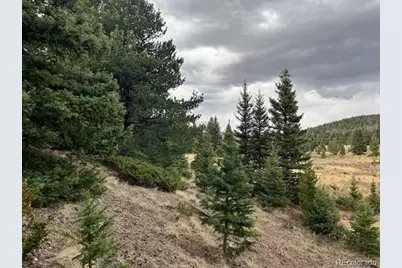 Lot 3091 Sterenson Place, Fort Garland, CO 81133 - Photo 20