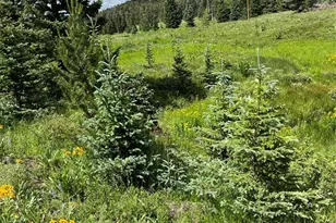 Lot 3091 Sterenson Pl, Fort Garland, CO 81133 - Photo 1