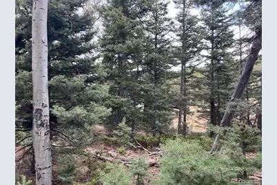 Lot 3091 Sterenson Place, Fort Garland, CO 81133 - Photo 16