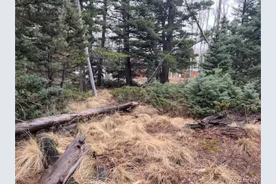 Lot 3091 Sterenson Place, Fort Garland, CO 81133 - Photo 10