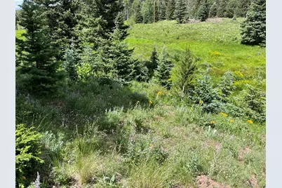 Lot 3091 Sterenson Place, Fort Garland, CO 81133 - Photo 4