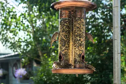 717 Lake Avenue, Grand Lake, CO 80447 - Photo 22