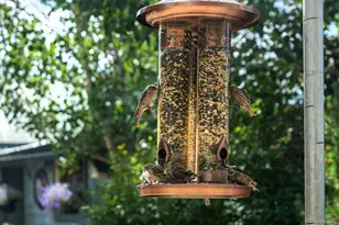 717 Lake Ave, Grand Lake, CO 80447 - Photo 22