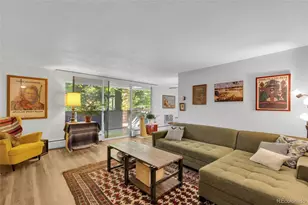 1085 N Lafayette Street, Denver, CO 80218 - Photo 1