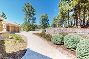 425 Tam O Shanter Way, Monument, CO 80132 - Photo 8