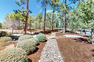 425 Tam O Shanter Way, Monument, CO 80132 - Photo 10
