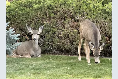 20999 Woodside Lane, Parker, CO 80138 - Photo 44