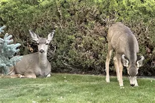 20999 Woodside Ln, Parker, CO 80138 - Photo 44