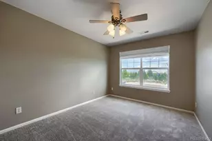 431 Ellendale St, Castle Rock, CO 80104 - Photo 22