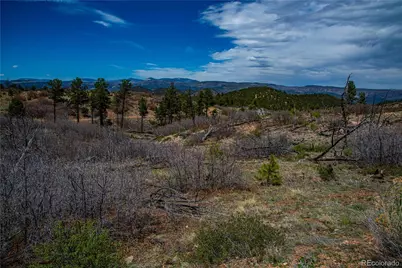 221 Cottonwood Drive, Cotopaxi, CO 81223 - Photo 2
