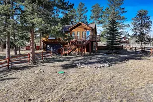 541 Beaver Trail, Bailey, CO 80421 - Photo 2