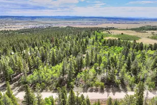 198 Green Bottle Cir, Fairplay, CO 80440 - Photo 1